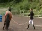 Cute virgin rich girl brutally fucked by her horse riding trainer