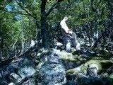 Fucking my wife in the forest