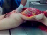 Cutting open dead chick.