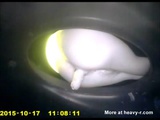 Hidden Cam In Toilet Bowl - Shit Videos